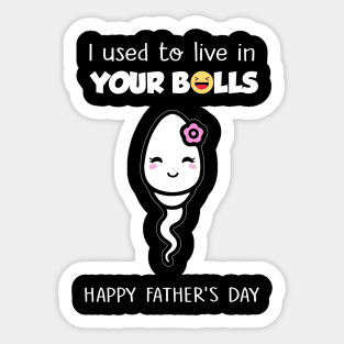 I Used To Live In Your Balls Funny Daughter Happy Father's Day Sticker